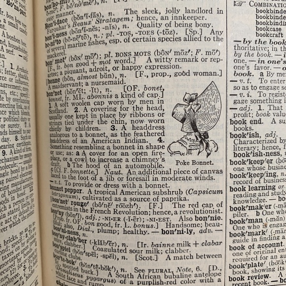 COPY - Vintage Websters Collegiate Dictionary Book Ephemera Paper Farmhouse Dec… - Picture 7 of 10